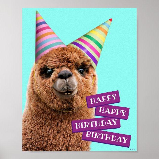 Poster Casquettes du parti Alpaca (Devant)