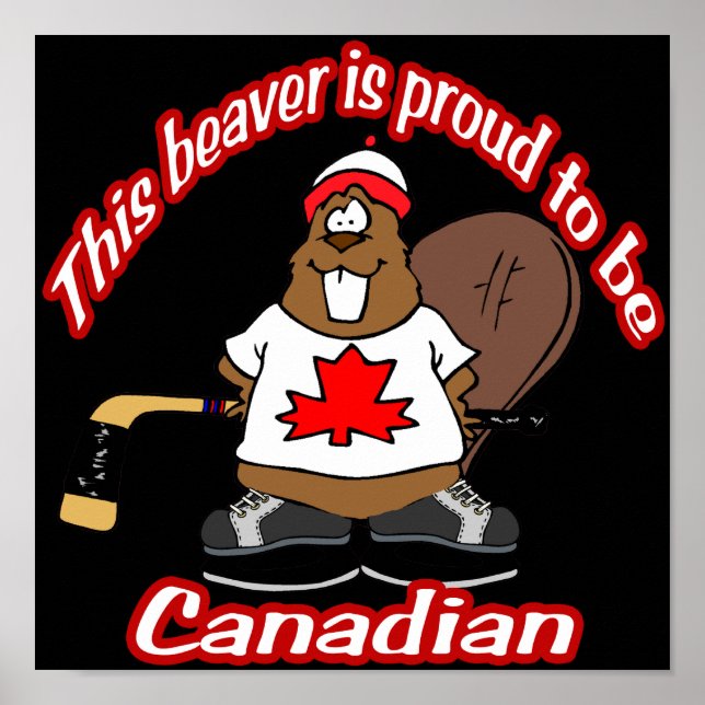 Poster Castor canadien (Devant)