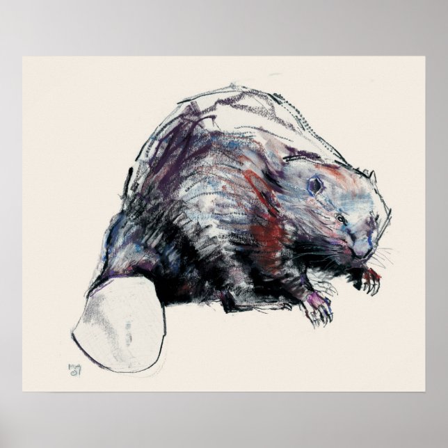 Poster Castor Fibre 2001 (Devant)