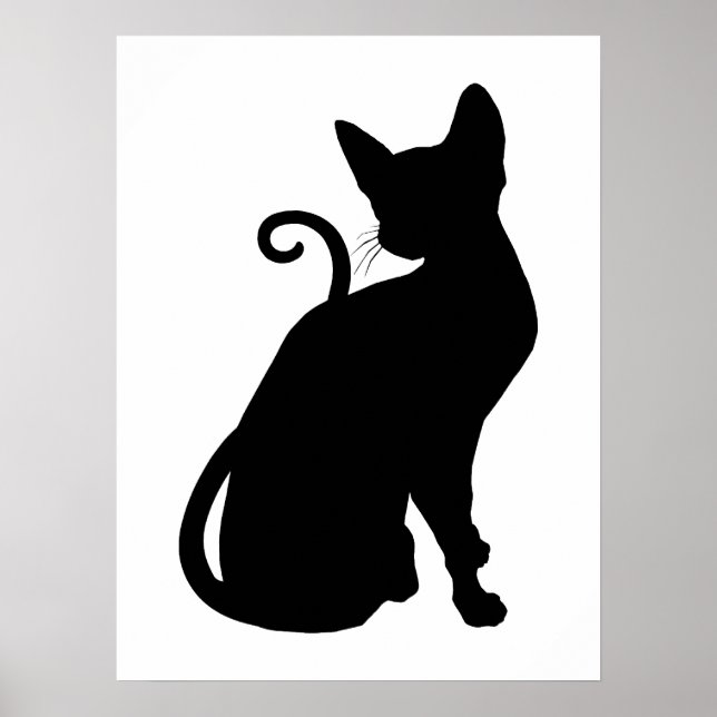 Poster Cat (Devant)