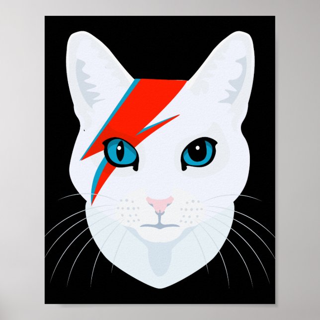 Poster Cat Bowie (Devant)