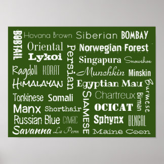 Poster Cat Breeds
