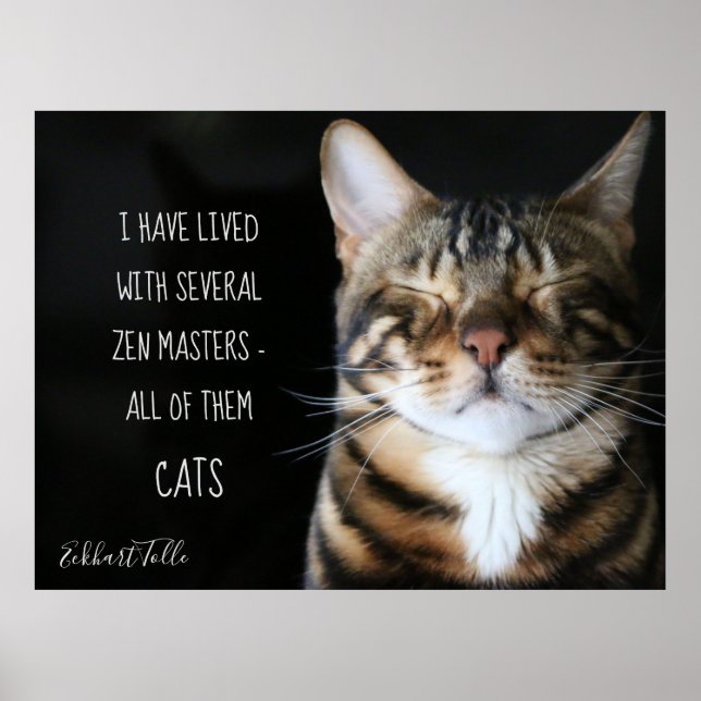 Poster Cat/Cat Zen (Devant)