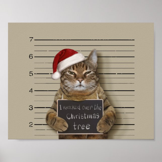 Poster Cat Christmas (Devant)
