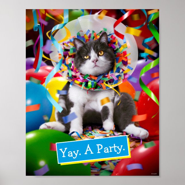 Poster Cat dans le cône de partie (Devant)