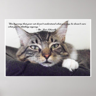 Poster Cat humour