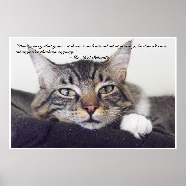 Poster Cat humour (Devant)