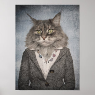 Poster Cat In Clothes