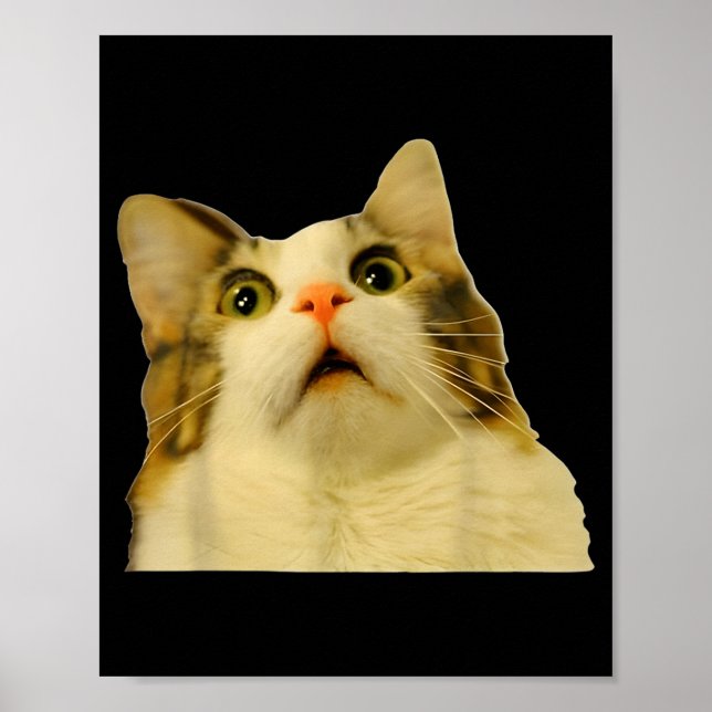 Poster Cat Meme Shock Cat Face Funny Meme Cat Silly Gift  (Devant)