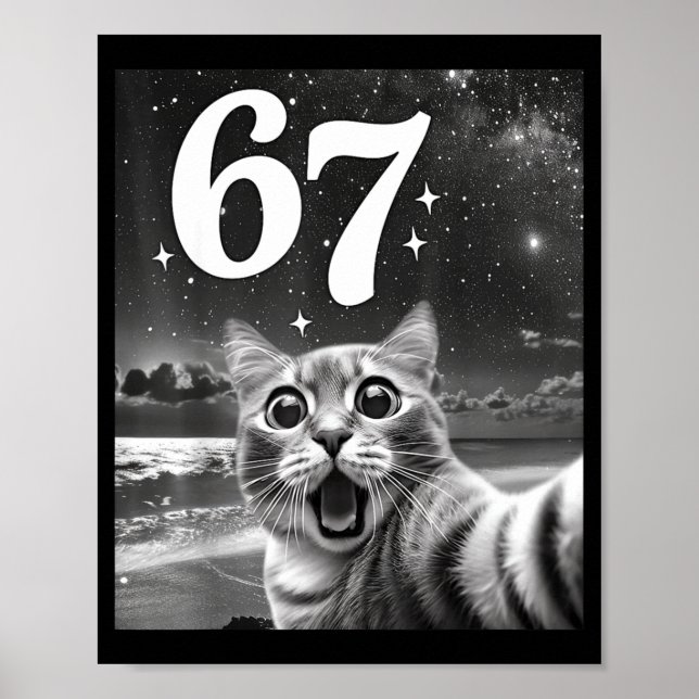 Poster Cat Selfie With 67 Meme Funny Cats Graphic For Men (Devant)