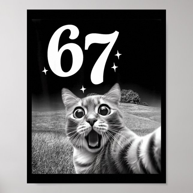 Poster Cat Selfie With 67 Meme Funny Cats Graphic For Men (Devant)