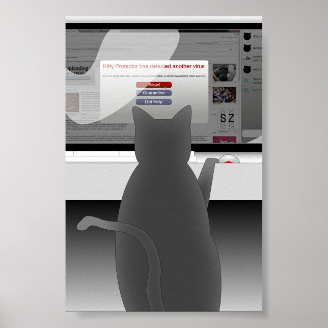 Poster cat-surf-2011 (Devant)