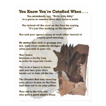 Catafié. Seul un amoureux des chats comprendrait.