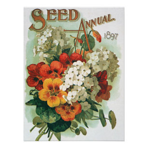 Poster Catalogue de semences vintage Eastman's Seed Cover