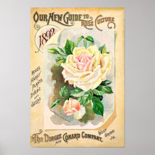 Poster Catalogue de semences Vintages Roses Dingee et Con