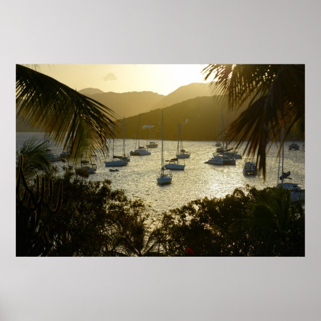 Poster Catamarans et sailboats (Devant)