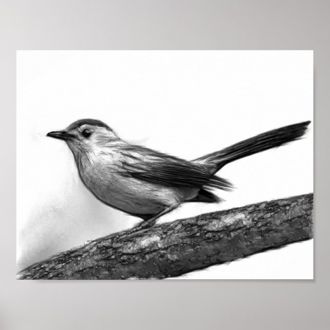 Poster Catbird (Devant)