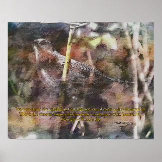 Poster Catbird avec citation Vivek Wadwha