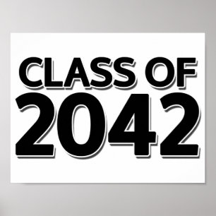 Poster Catégorie 2042