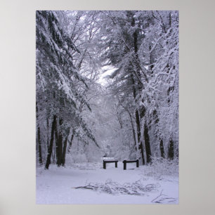 Poster Cathédrale de glace 2 ~ imprimer