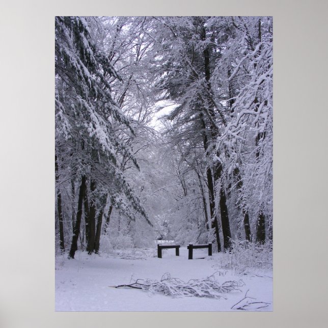 Poster Cathédrale de glace 2 ~ imprimer (Devant)