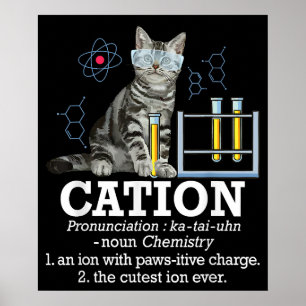 Poster Cation Fun Chimie Humour Science Enseignant Chat P