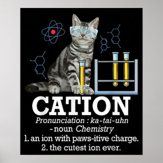 Poster Cation Fun Chimie Humour Science Enseignant Chat P