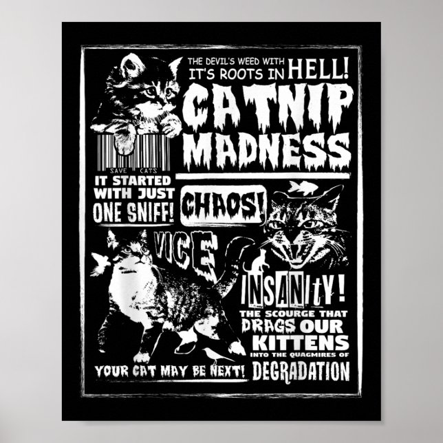 Poster Catnip Madness Cute Kitten Cadeau Amoureux des cha (Devant)