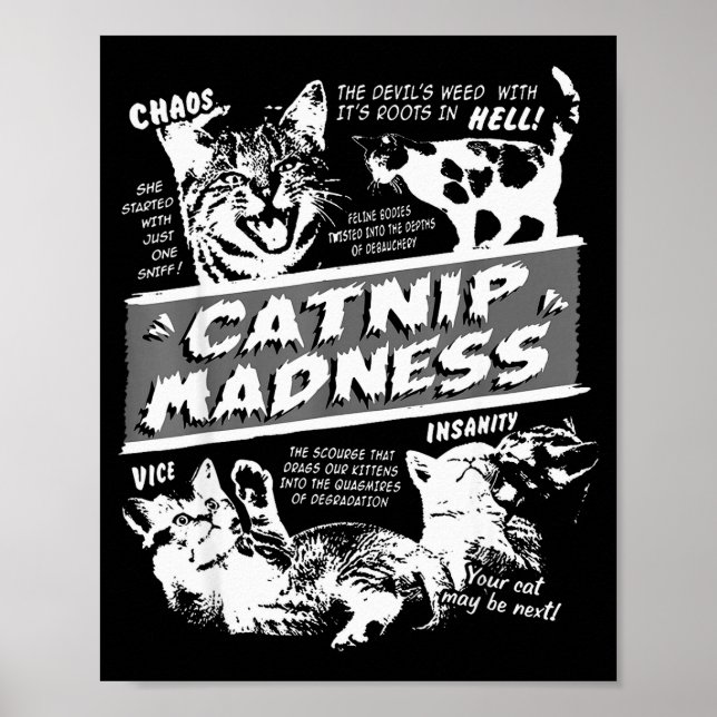 Poster Catnip Madness Cute Kitten Funny Cat Pet Humor  (Devant)