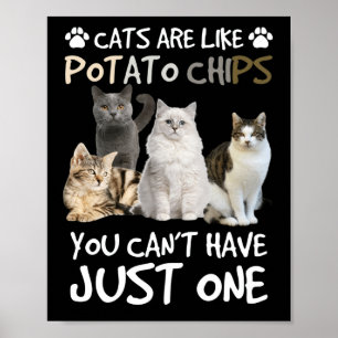 Poster Cats Are Like Potato Chips Cat Lovers Tee Kitty