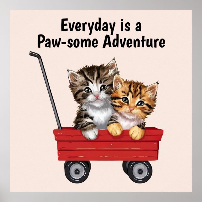 Poster Cats de Cute (Devant)