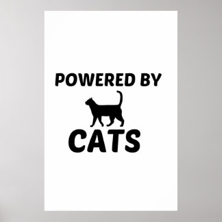 POSTER CATS POWERES