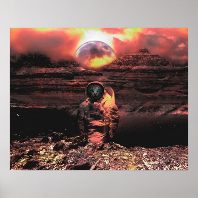 Poster Catstronaut (Devant)