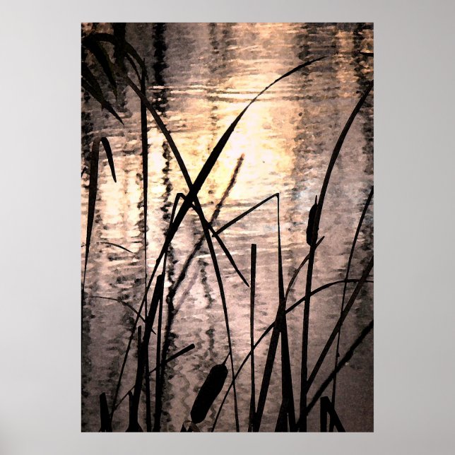 Poster Cattails au coucher du soleil (Devant)