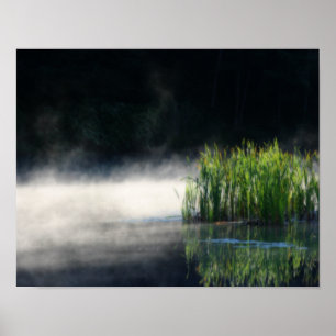 Poster Cattails Dans Le Mist Sur Un Étang Orton