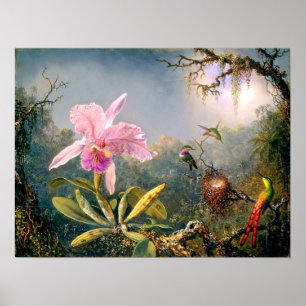 Poster Cattleya Orchid and Three Hummingbirds