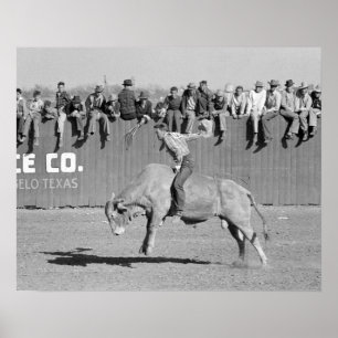 Poster Cavalier de rodéo sur un taureau, 1940. Photo anci