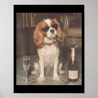 Poster Cavalier King Charles buvant du champagne drôle