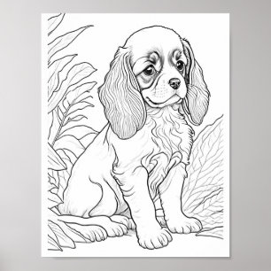 Poster Cavalier King Charles Dog Coloration adulte