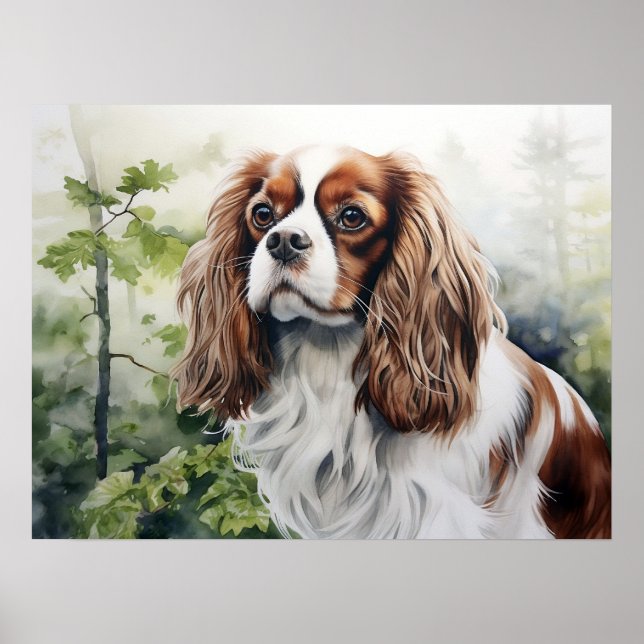 Poster Cavalier King Charles Spaniel Blenheim (Devant)