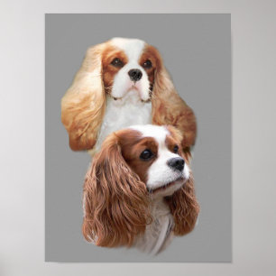Poster Cavalier King Charles Spaniel Jolies filles Imprim