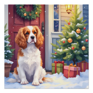 Poster Cavalier King Charles Spaniel Noël enneigé