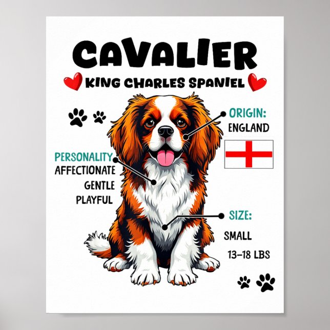 Poster Cavalier King Charles Spaniel Owner Funny Dog Love (Devant)