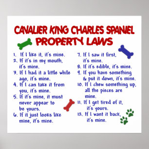 POSTER CAVALIER KING CHARLES SPANIEL PL2