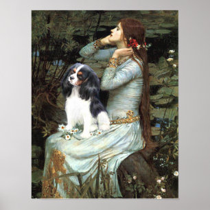 Poster Cavalier King Charles (tricolor) - Ophélie assise