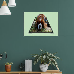 Poster Cavalier Sooky Face Spaniel,