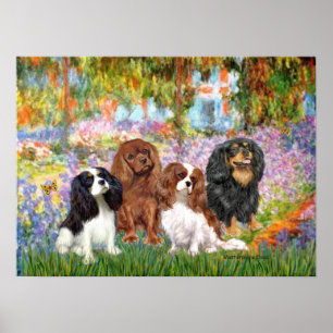 Poster Cavaliers (4) - Jardin