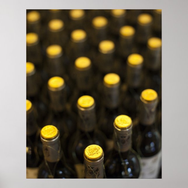 Poster Cave à vin Bodega Marques de Riscal, bouteilles de (Devant)