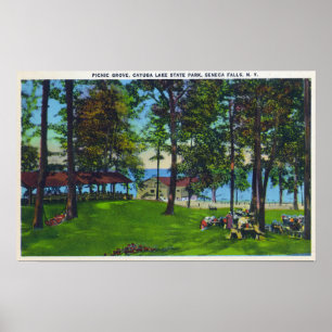 Poster Cayuga Lake State Park Scene