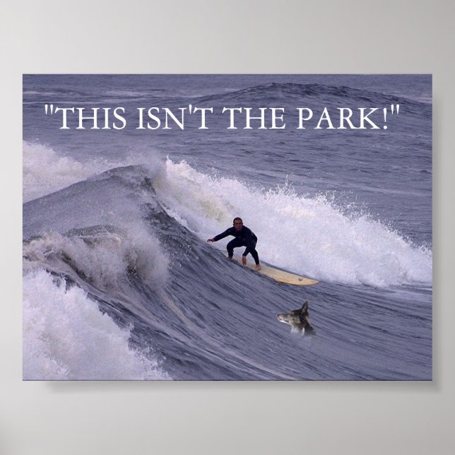 POSTER CE N'EST PAS LE PARC ! (Devant)